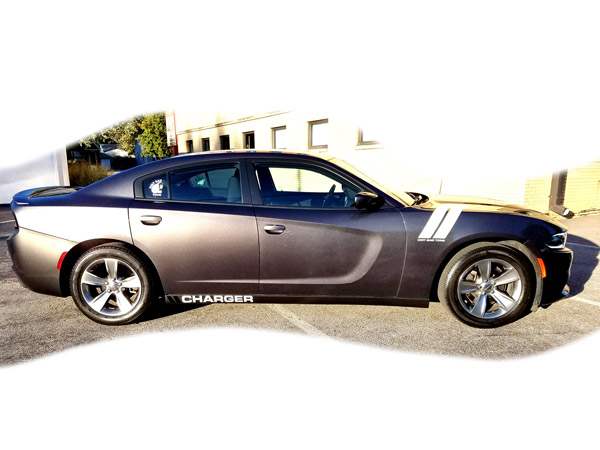 Vinyl lettering and car graphics on a vehicle in Joliet and Shorewood Illinois