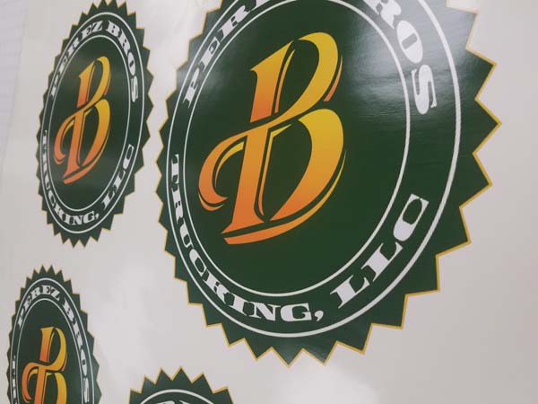 Trucking logo design and truck branding graphics in Joliet, Shorewood, and Rockdale Illinois