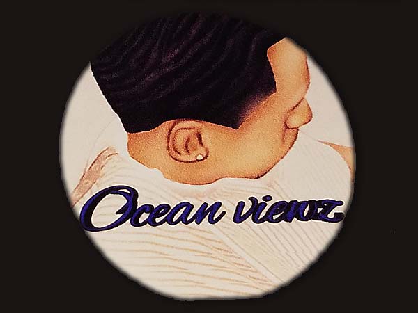 Custom shaped die cut stickers printed in Joliet Illinois