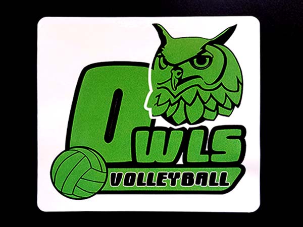 Custom team stickers and decals for a volleyball team in Joliet Illinois